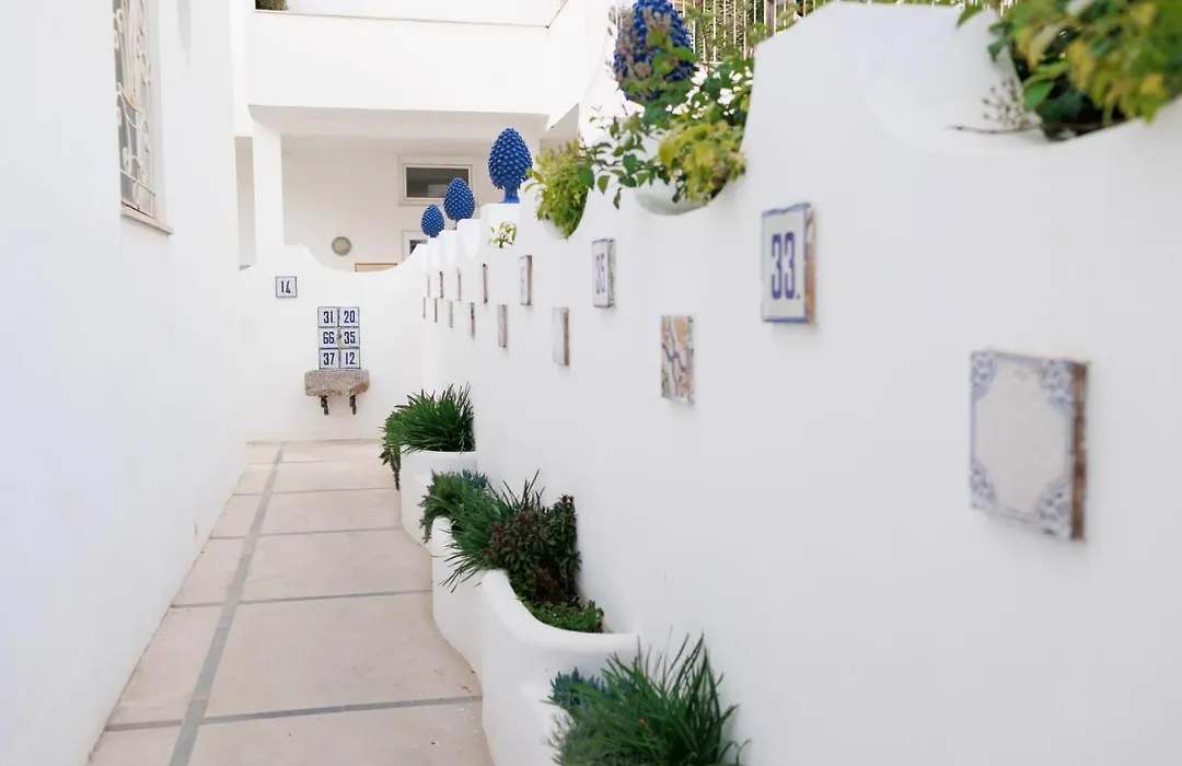 La Pigna Blu-1