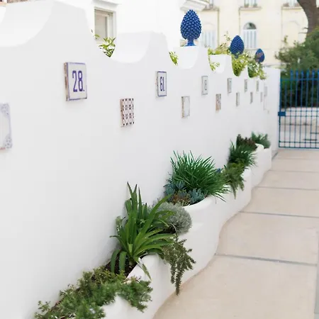 La Pigna Blu-2